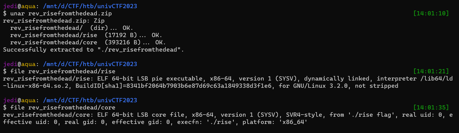 File description